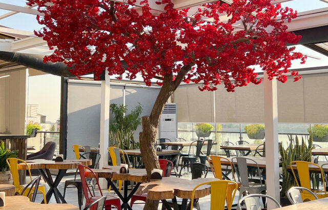 بام لند (امیر شکلات پلاس)