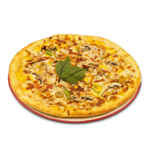 پیتزا مخصوص