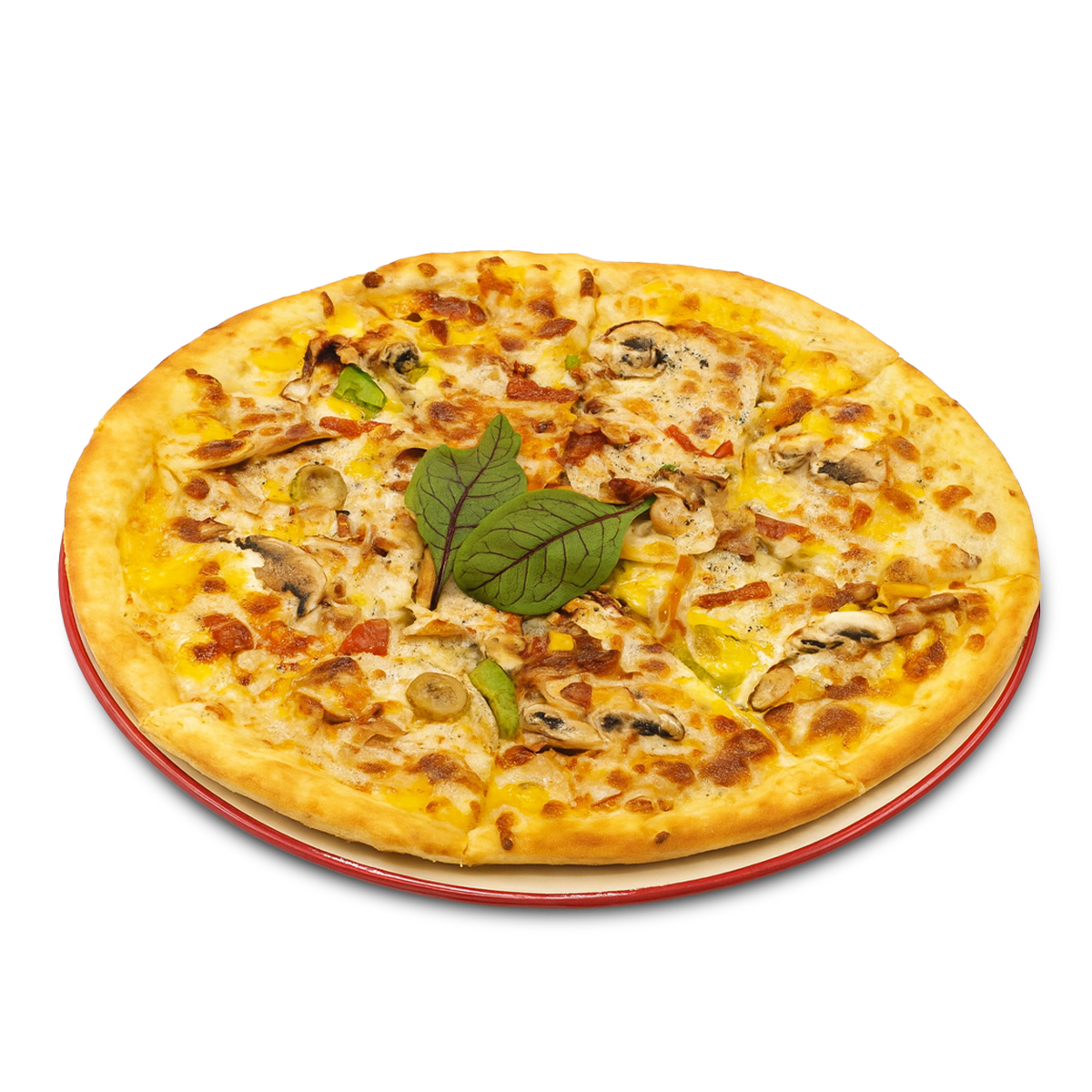 پیتزا مخصوص