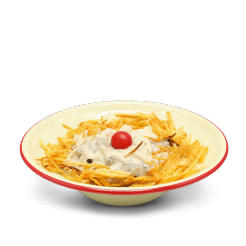 بیف استراگانوف