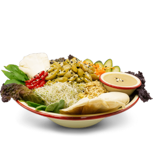 سالاد باغ زیتون