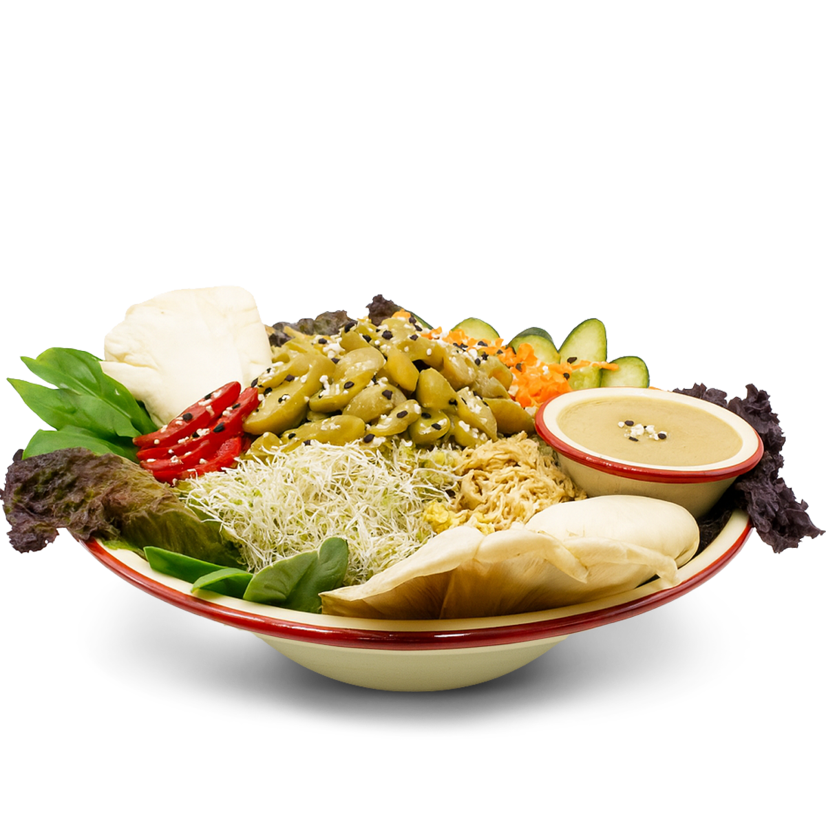 سالاد باغ زیتون